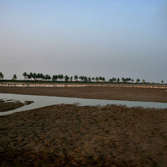 Kolleru Lake