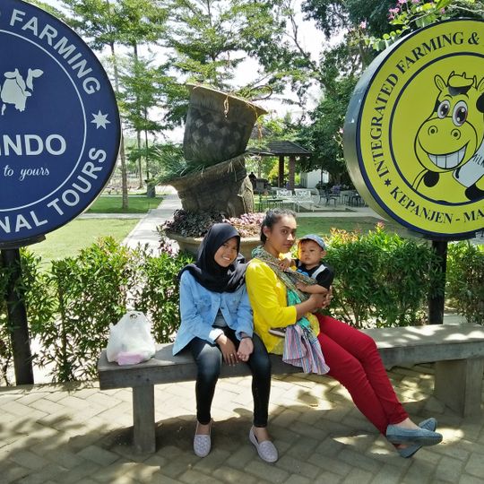 Kolam Renang Wisata Edukasi Milkindo