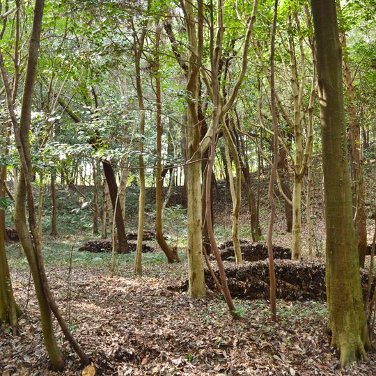 Nakayama Chausuyama Kofun