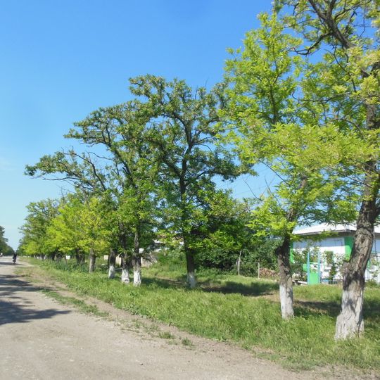 Distretto di Sovets'kyj