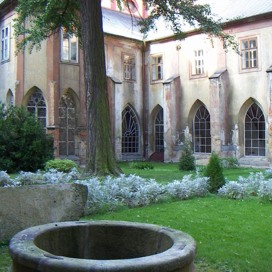 Ginkgo biloba in the Dominican Monastery