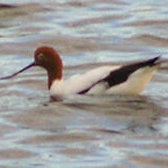 Parc national Lake Bindegolly