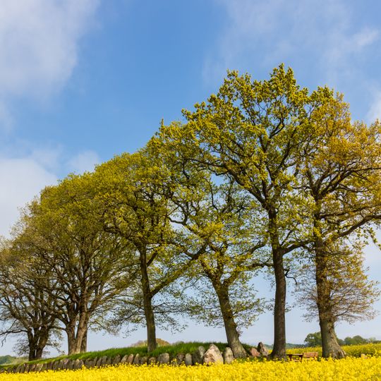 Schwansener Ostseeküste
