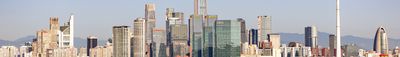 Panoramic View 1