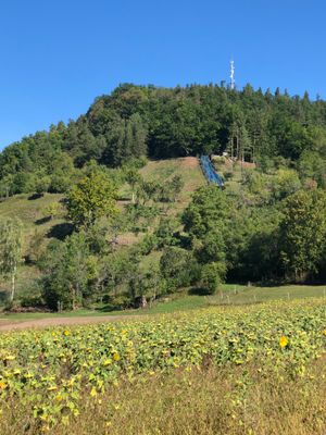 Alternatieve afbeelding