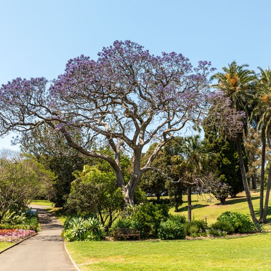 Royal Botanic Gardens