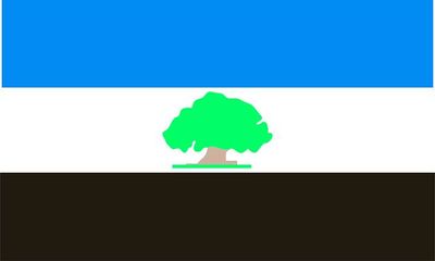 Flag 0