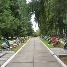 Military cemetery (Krestsy)