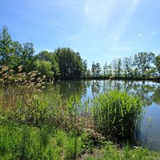 Heroldteiche