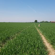 Belgium-Netherlands boundary stone no. 25b