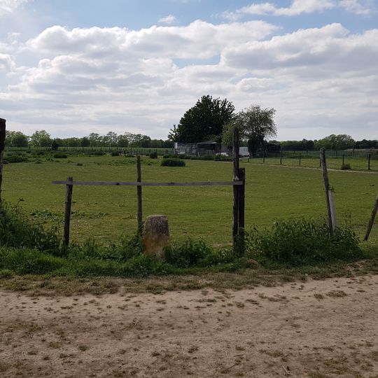 Pierre de frontière Belgique-Pays-Bas no. 81b