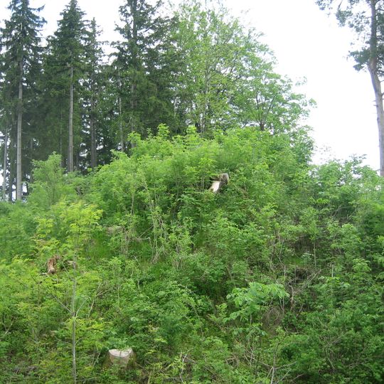 Burgstall Hahnentanz