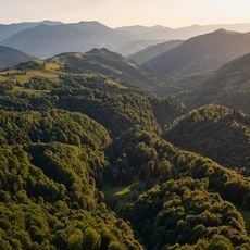 Parque natural nacional de Synevir