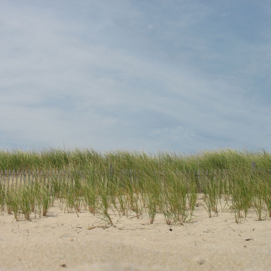 Delaware Seashore State Park