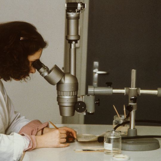 Baugeschichtliches Archiv Zürich