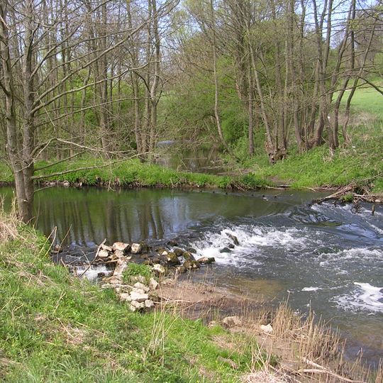 Radunia