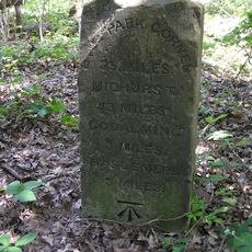 Milestone, Witley Common