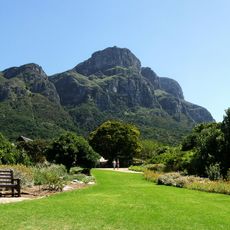 Kirstenbosch National Botanical Garden