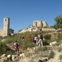 governatorato di Latakia