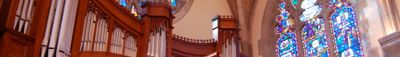 Panoramic View 1