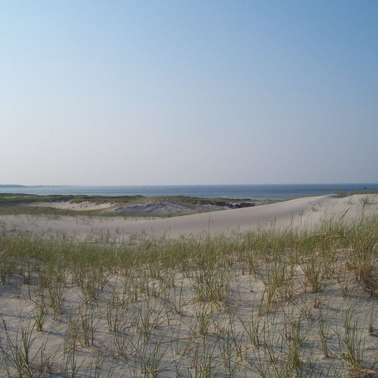 Crane Beach-dynerna