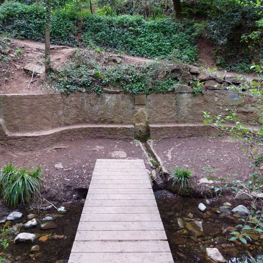 Font de la Noguera Punxeguda