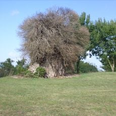 Église Saint-Eutrope de Broue