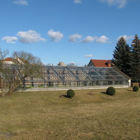 Königsbrück Camellias