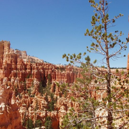 Under-the-Rim Trail