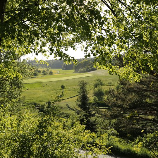 Wacholderheide beim Ursprung