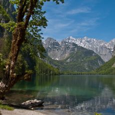Obersee