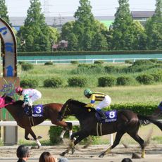 Nagoya Racecourse