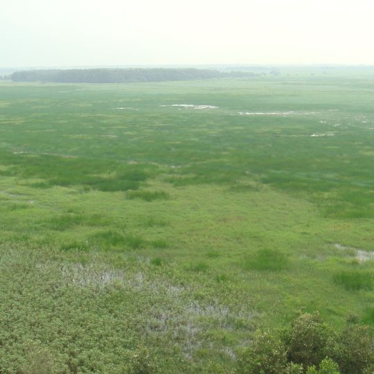 Plain of Reeds