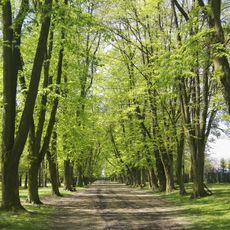 Parco cittadino "Eroi di Monte Cassino" (Jarosław)