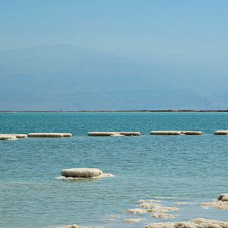 Dead Sea Salt Mushrooms