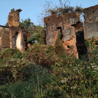 Ruined palace of Bose family