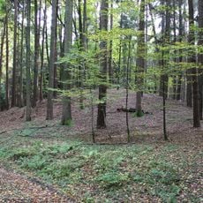 Gräberfeld, Grabhügel in den Feldwäldern, St. Margarethen an der Raab