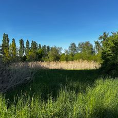 Gritzteich südwestlicher Bereich