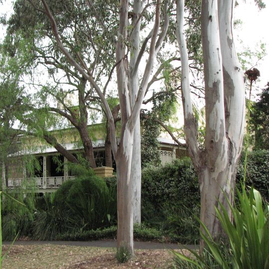 Rothwell Lodge and Factory