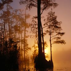 Okefenokee National Wildlife Refuge