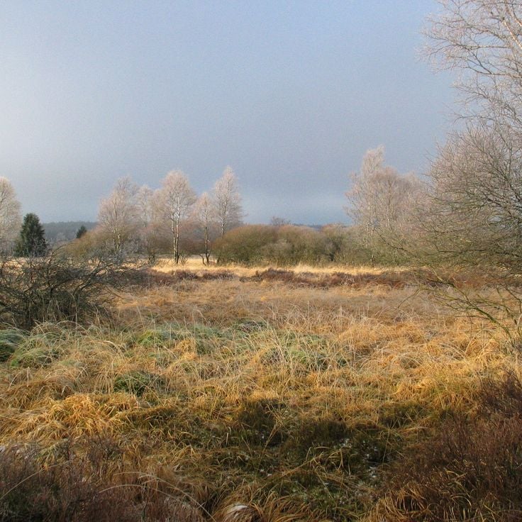 Parque Natural de High Fens – Eifel