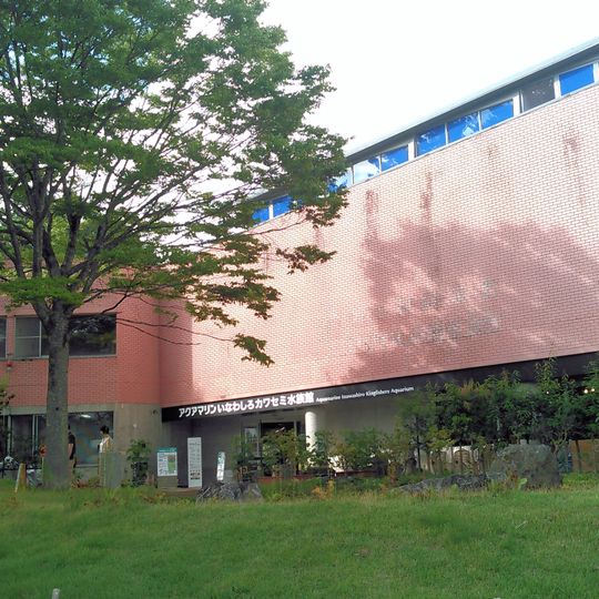 Aquamarine Inawashiro Kingfishers Aquarium