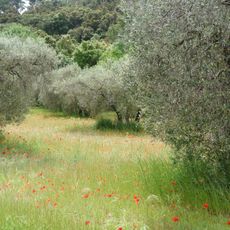Parc naturel régional des Alpilles