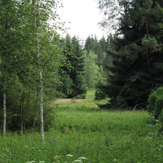 Niva Horského potoka II