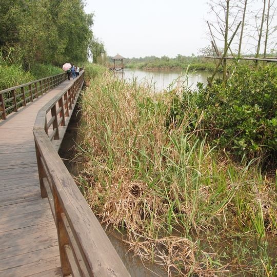 Nansha Wetland Park