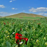 Azerbaiyán Occidental