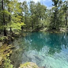 Wes Skiles Peacock Springs State Park