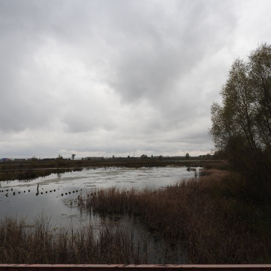 Памятник природы регионального значения "Белое озеро"