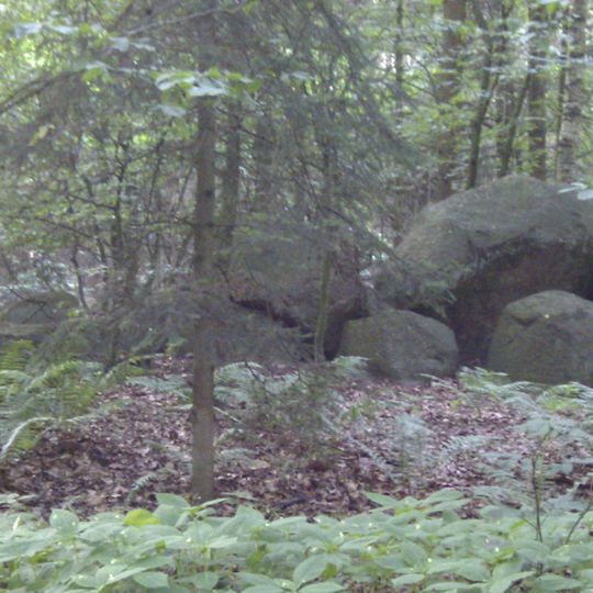Großdolmen im Forst Poggendorf