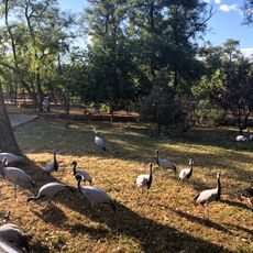 秦皇岛野生动物园
